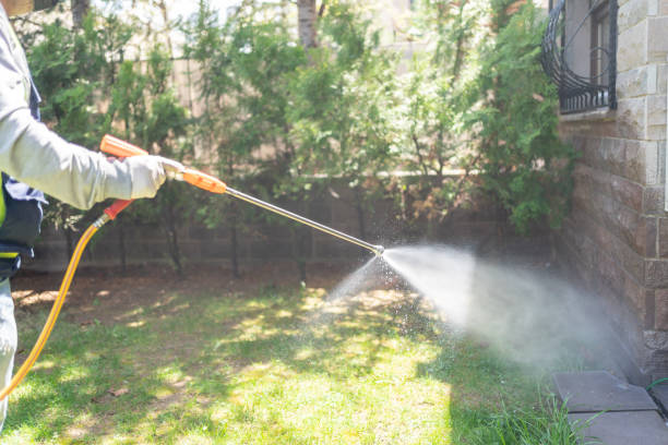 Best Seasonal Pest Control (e.g., summer mosquitoes, winter rodents)  in East Atlantic Beach, NY